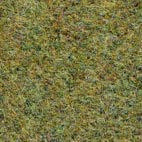 Pugi fenice 452 Swatch image for Pugi fenice 452